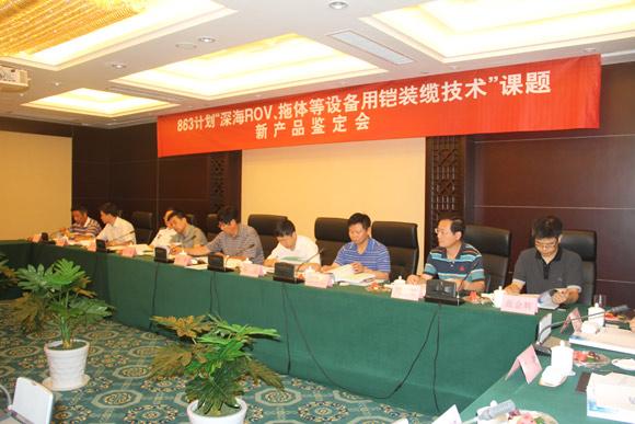 ���Ź��ʹ���-�����ɼ��Ƿ�,����Ʒ�Ƶ�ʵ��