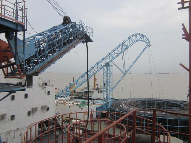 ���Ź��ʹ���-�����ɼ��Ƿ�,����Ʒ�Ƶ�ʵ��