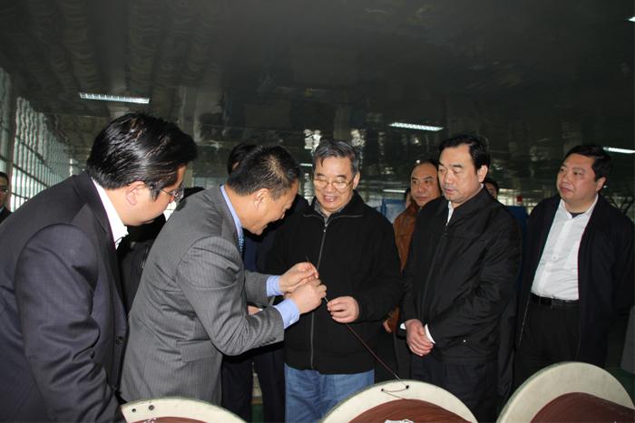 ���Ź��ʹ���-�����ɼ��Ƿ�,����Ʒ�Ƶ�ʵ��