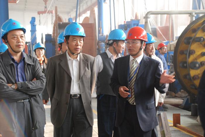 ���Ź��ʹ���-�����ɼ��Ƿ�,����Ʒ�Ƶ�ʵ��