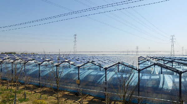 ���Ź��ʹ���-�����ɼ��Ƿ�,����Ʒ�Ƶ�ʵ��