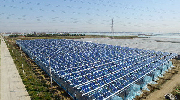 ���Ź��ʹ���-�����ɼ��Ƿ�,����Ʒ�Ƶ�ʵ��