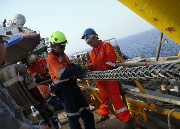 ���Ź��ʹ���-�����ɼ��Ƿ�,����Ʒ�Ƶ�ʵ��