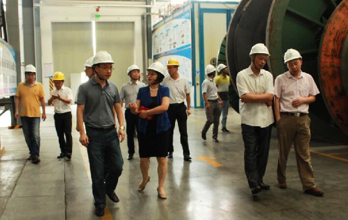 ���Ź��ʹ���-�����ɼ��Ƿ�,����Ʒ�Ƶ�ʵ��