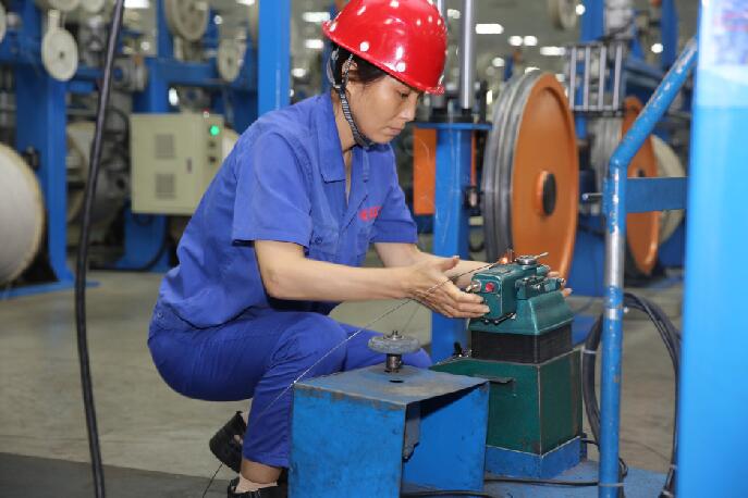 ���Ź��ʹ���-�����ɼ��Ƿ�,����Ʒ�Ƶ�ʵ��