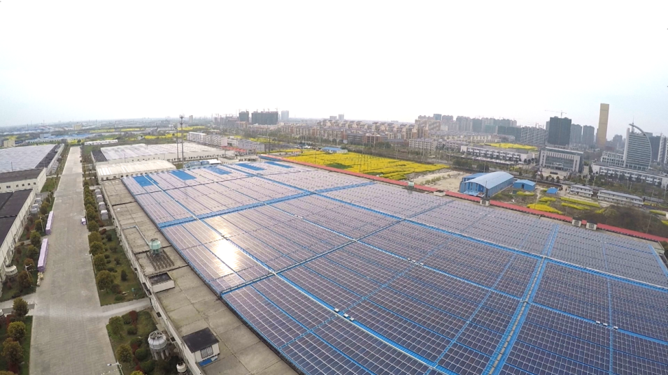 ���Ź��ʹ���-�����ɼ��Ƿ�,����Ʒ�Ƶ�ʵ��