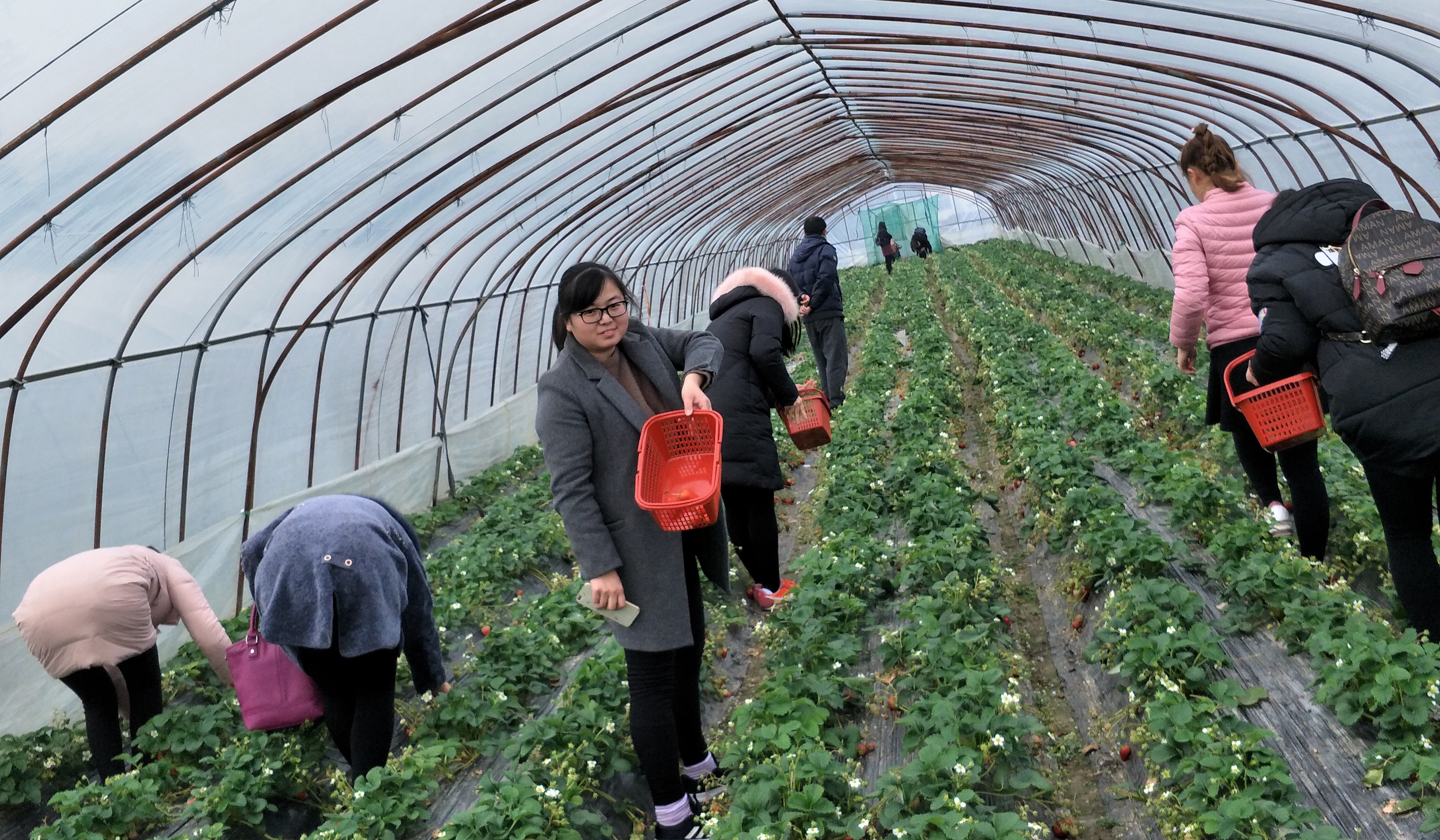 ���Ź��ʹ���-�����ɼ��Ƿ�,����Ʒ�Ƶ�ʵ��