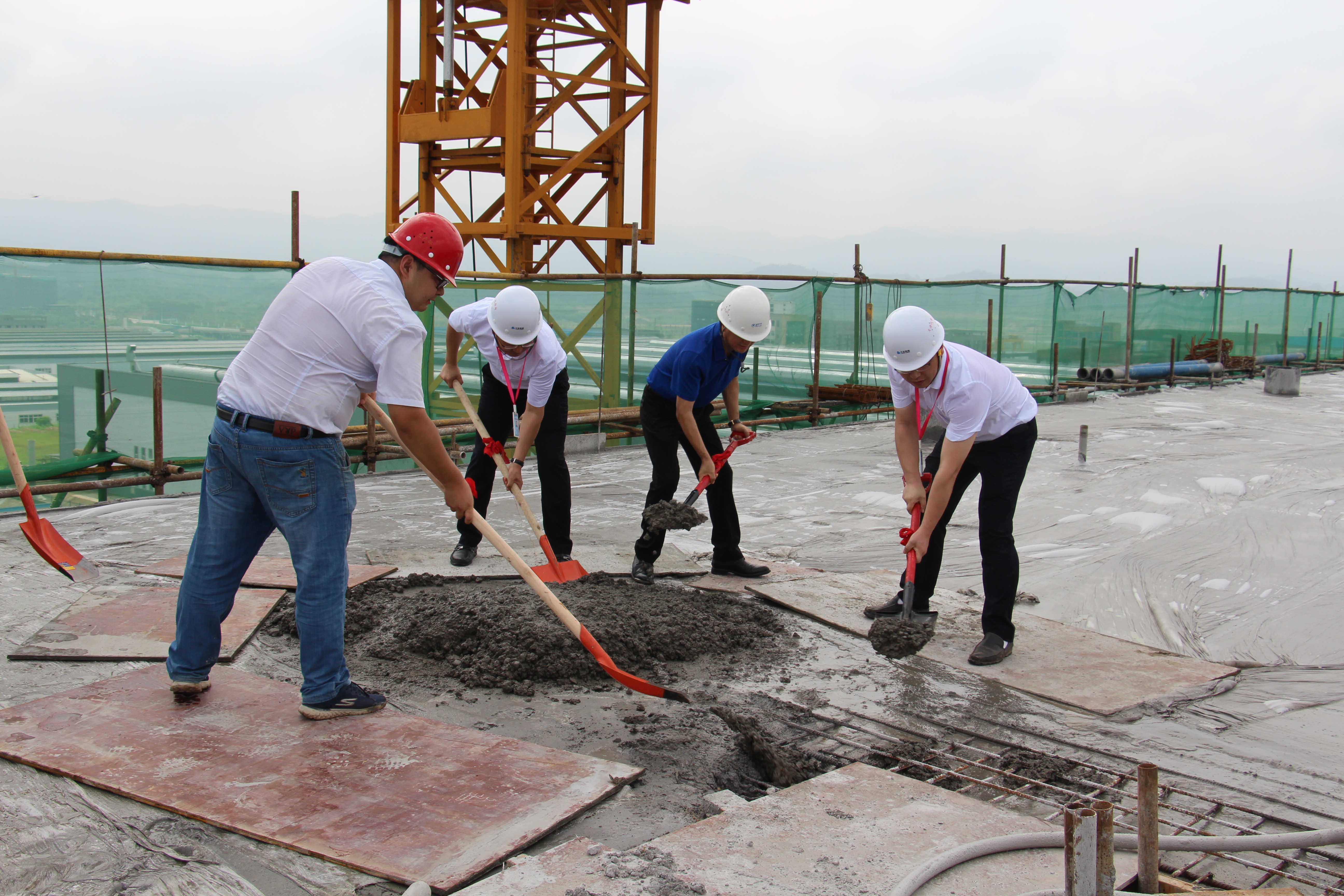 ���Ź��ʹ���-�����ɼ��Ƿ�,����Ʒ�Ƶ�ʵ��