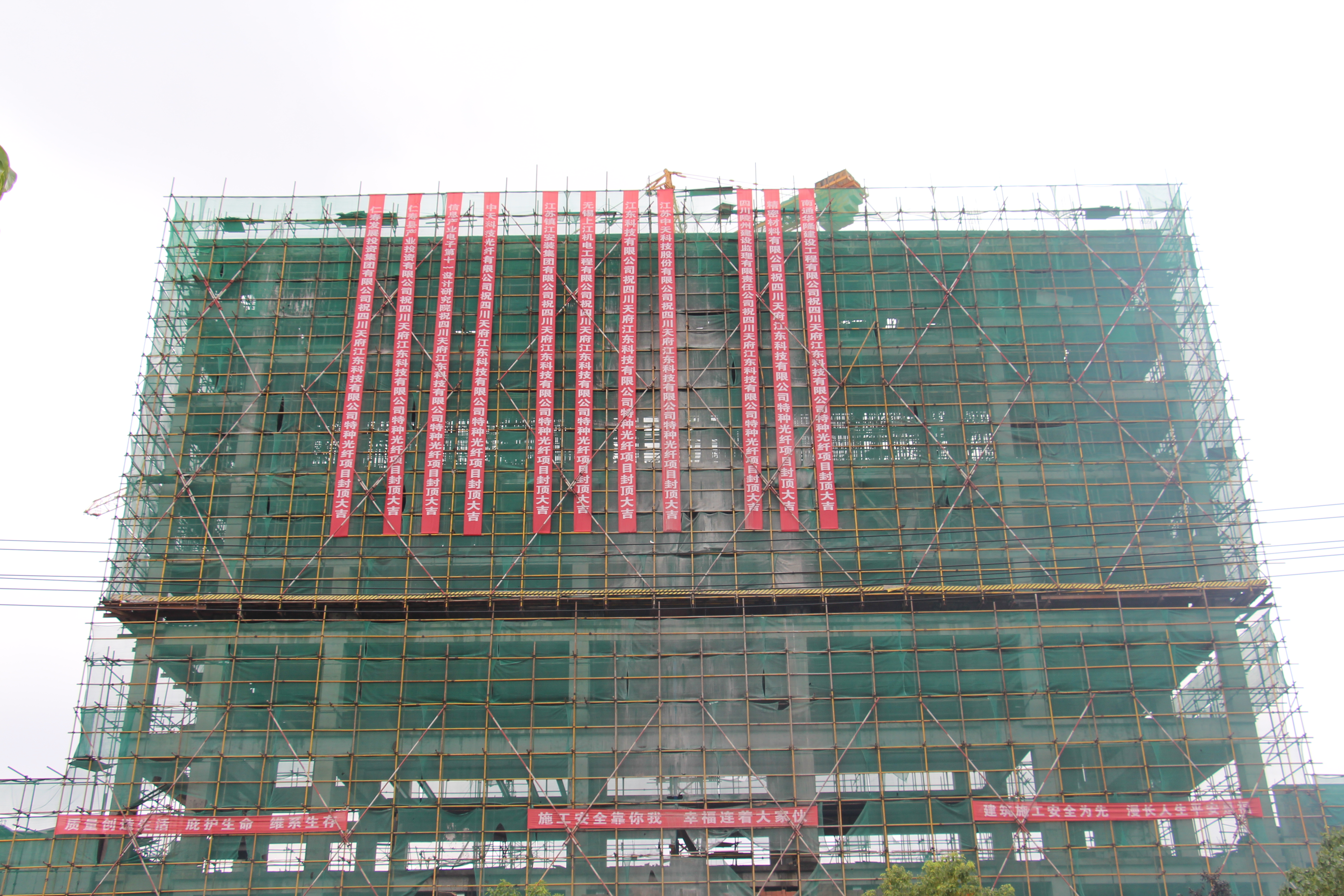 ���Ź��ʹ���-�����ɼ��Ƿ�,����Ʒ�Ƶ�ʵ��