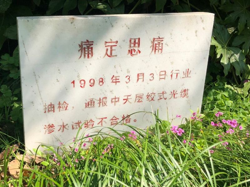 ���Ź��ʹ���-�����ɼ��Ƿ�,����Ʒ�Ƶ�ʵ��