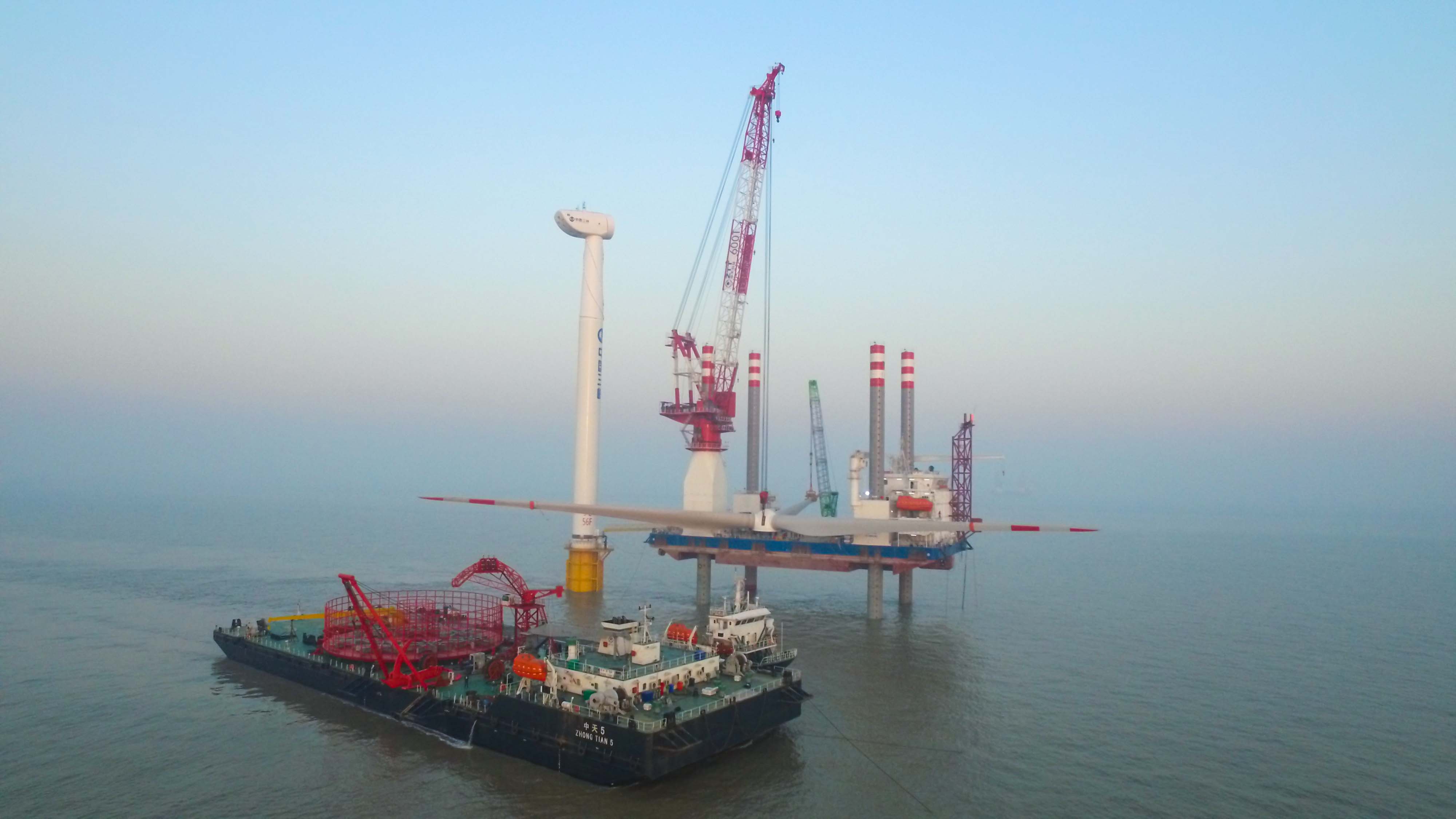 ���Ź��ʹ���-�����ɼ��Ƿ�,����Ʒ�Ƶ�ʵ��