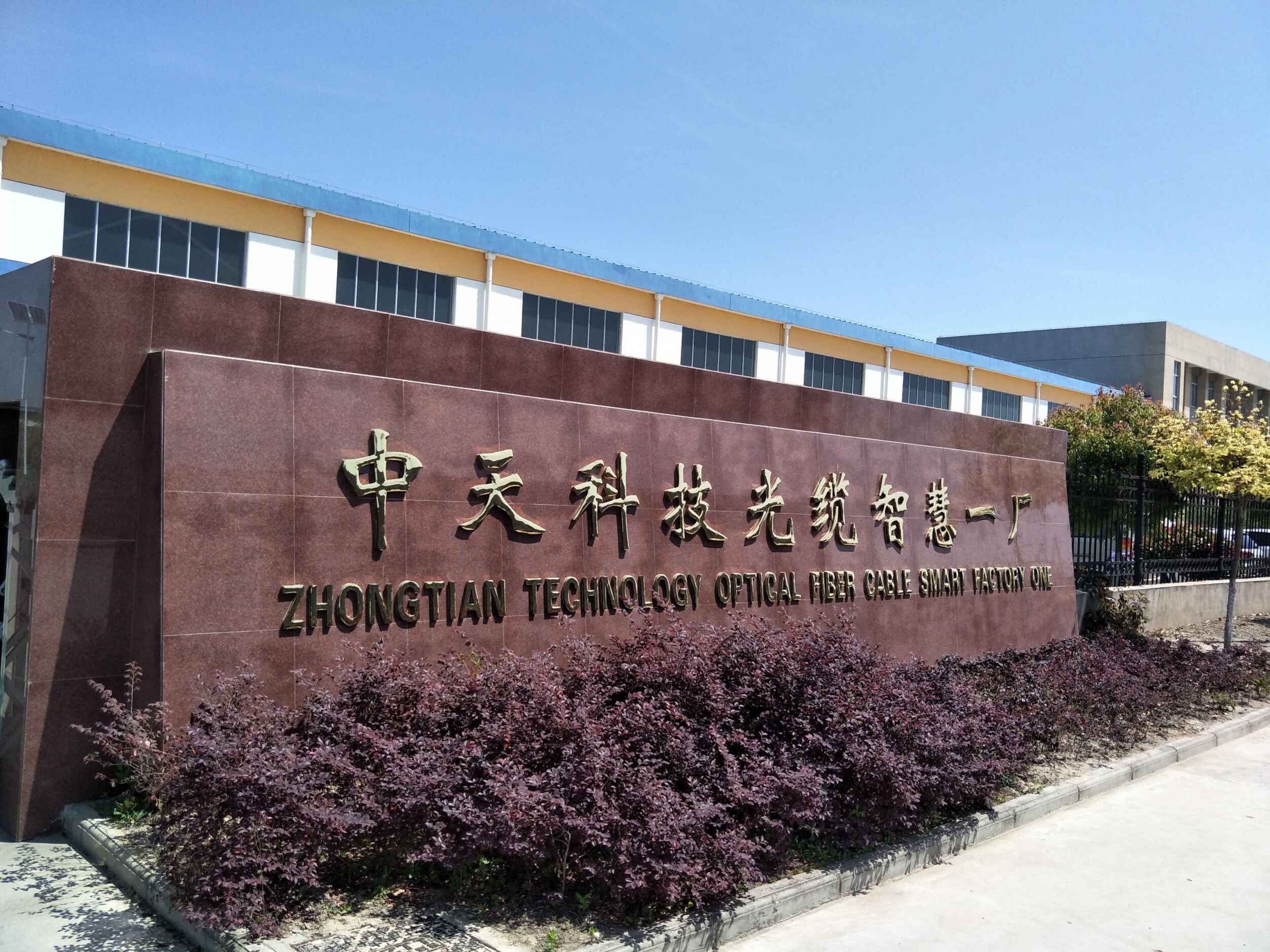 ���Ź��ʹ���-�����ɼ��Ƿ�,����Ʒ�Ƶ�ʵ��