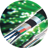 201906180942441114 201906180942441114