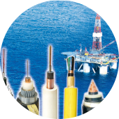 201906180943123858 201906180943123858