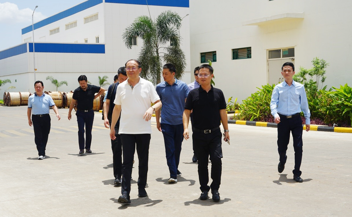 ���Ź��ʹ���-�����ɼ��Ƿ�,����Ʒ�Ƶ�ʵ��