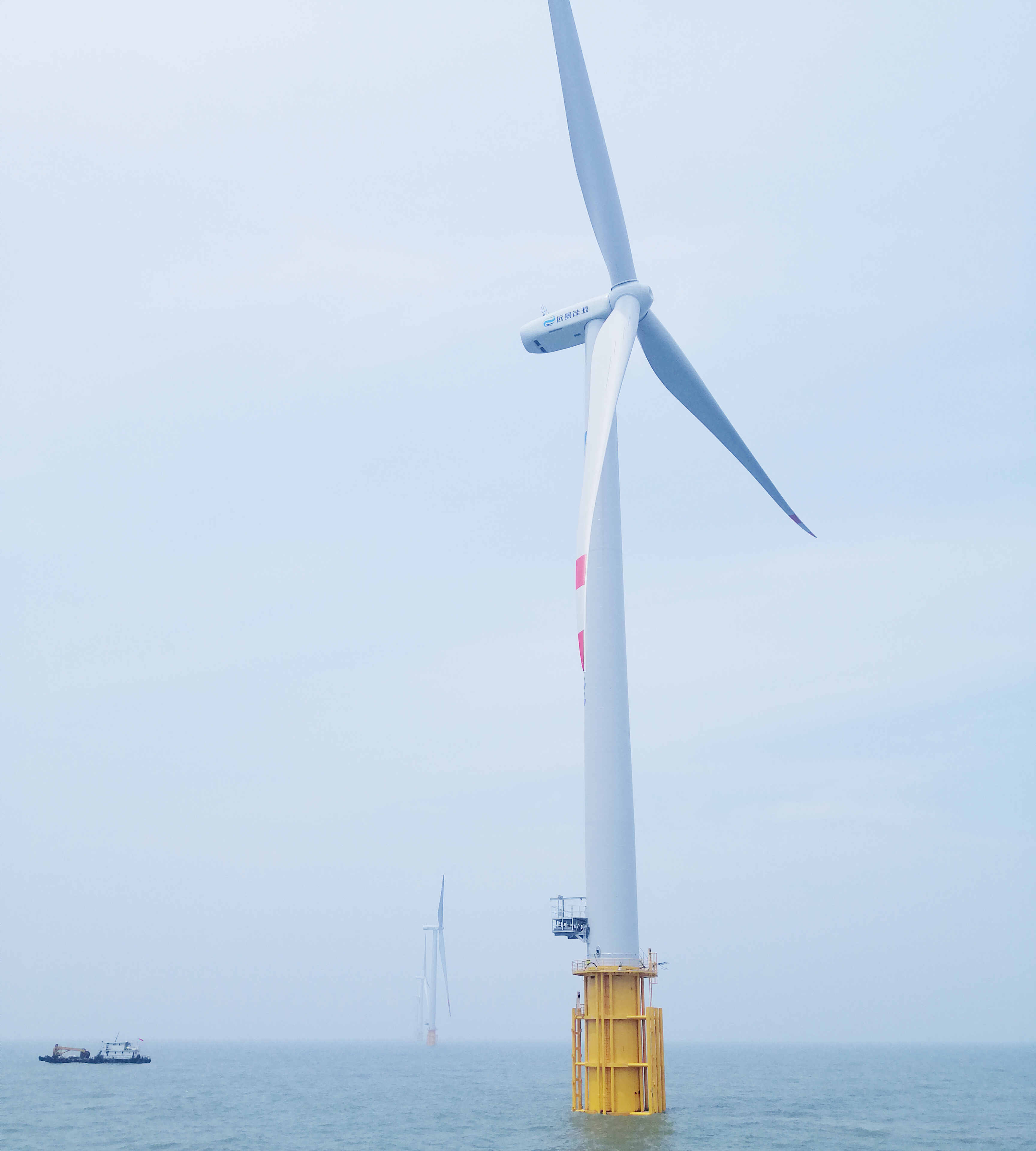 ���Ź��ʹ���-�����ɼ��Ƿ�,����Ʒ�Ƶ�ʵ��