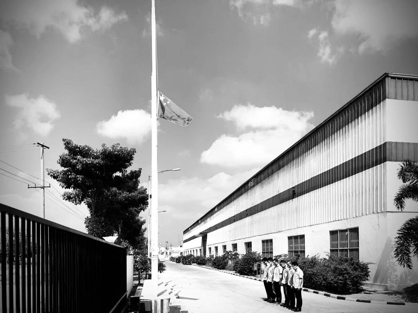 ���Ź��ʹ���-�����ɼ��Ƿ�,����Ʒ�Ƶ�ʵ��