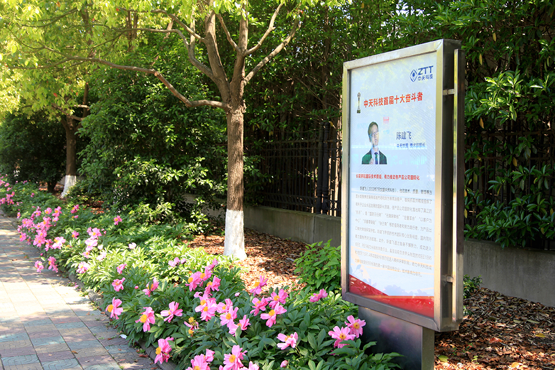 ���Ź��ʹ���-�����ɼ��Ƿ�,����Ʒ�Ƶ�ʵ��