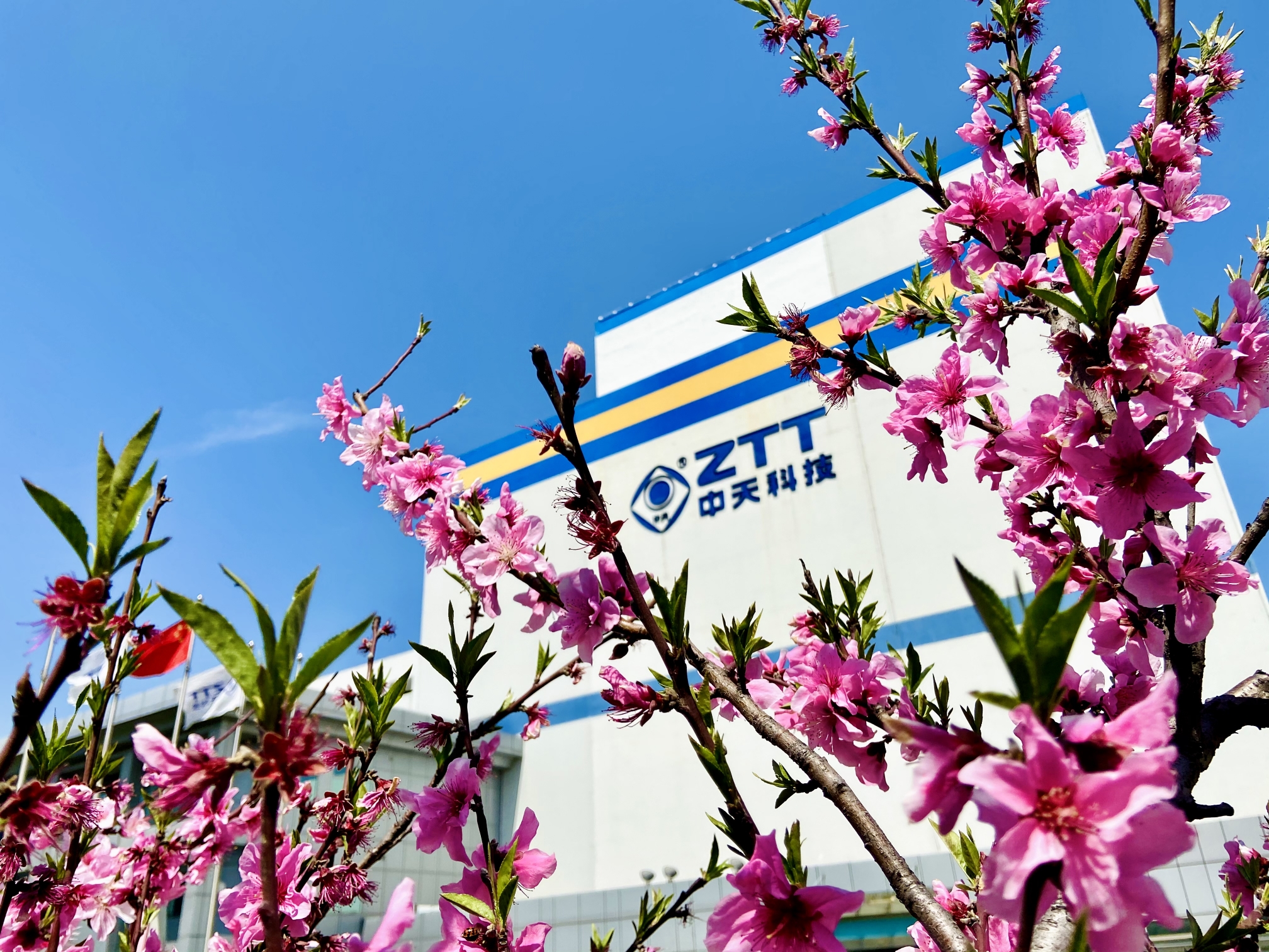 ���Ź��ʹ���-�����ɼ��Ƿ�,����Ʒ�Ƶ�ʵ��