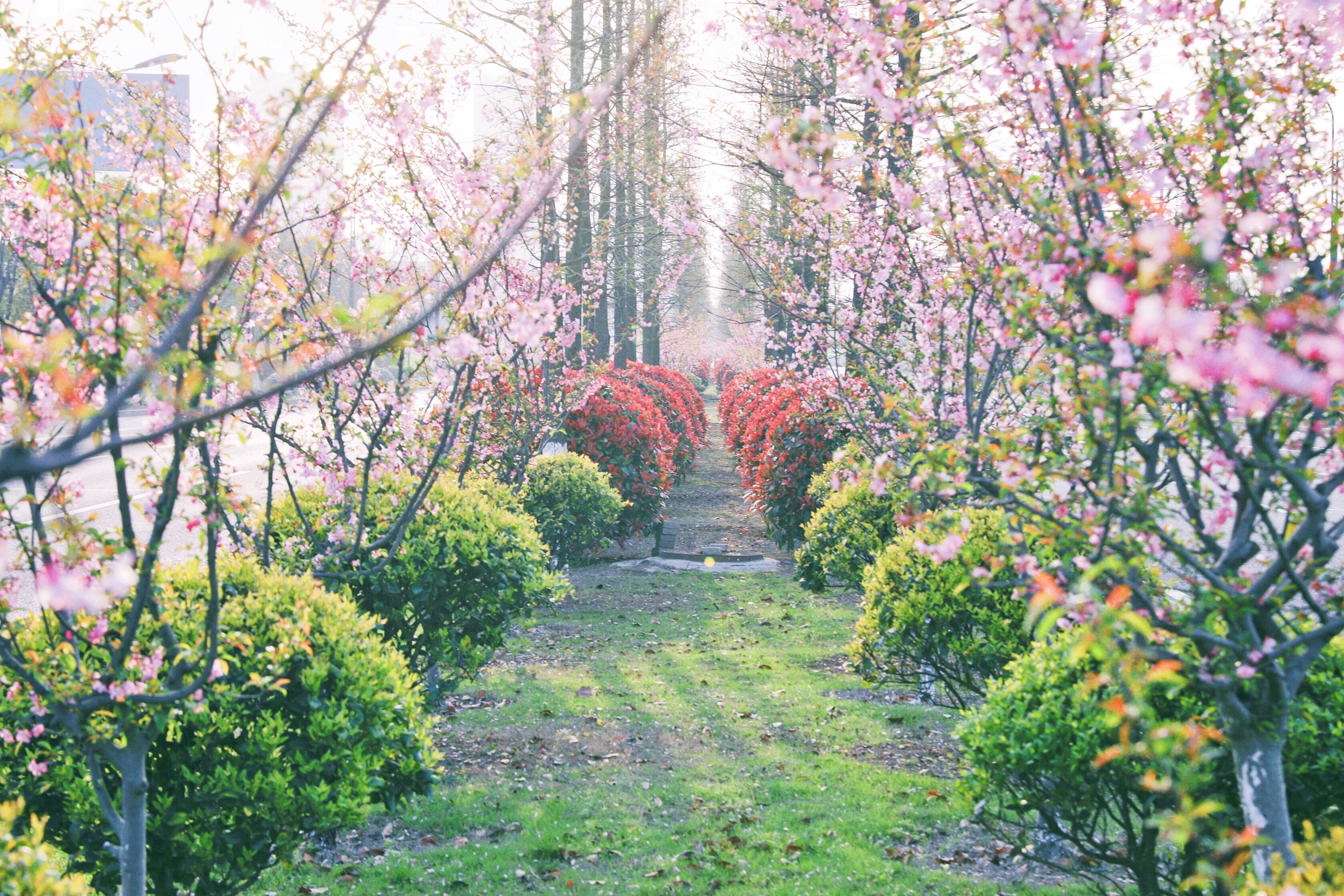 ���Ź��ʹ���-�����ɼ��Ƿ�,����Ʒ�Ƶ�ʵ��