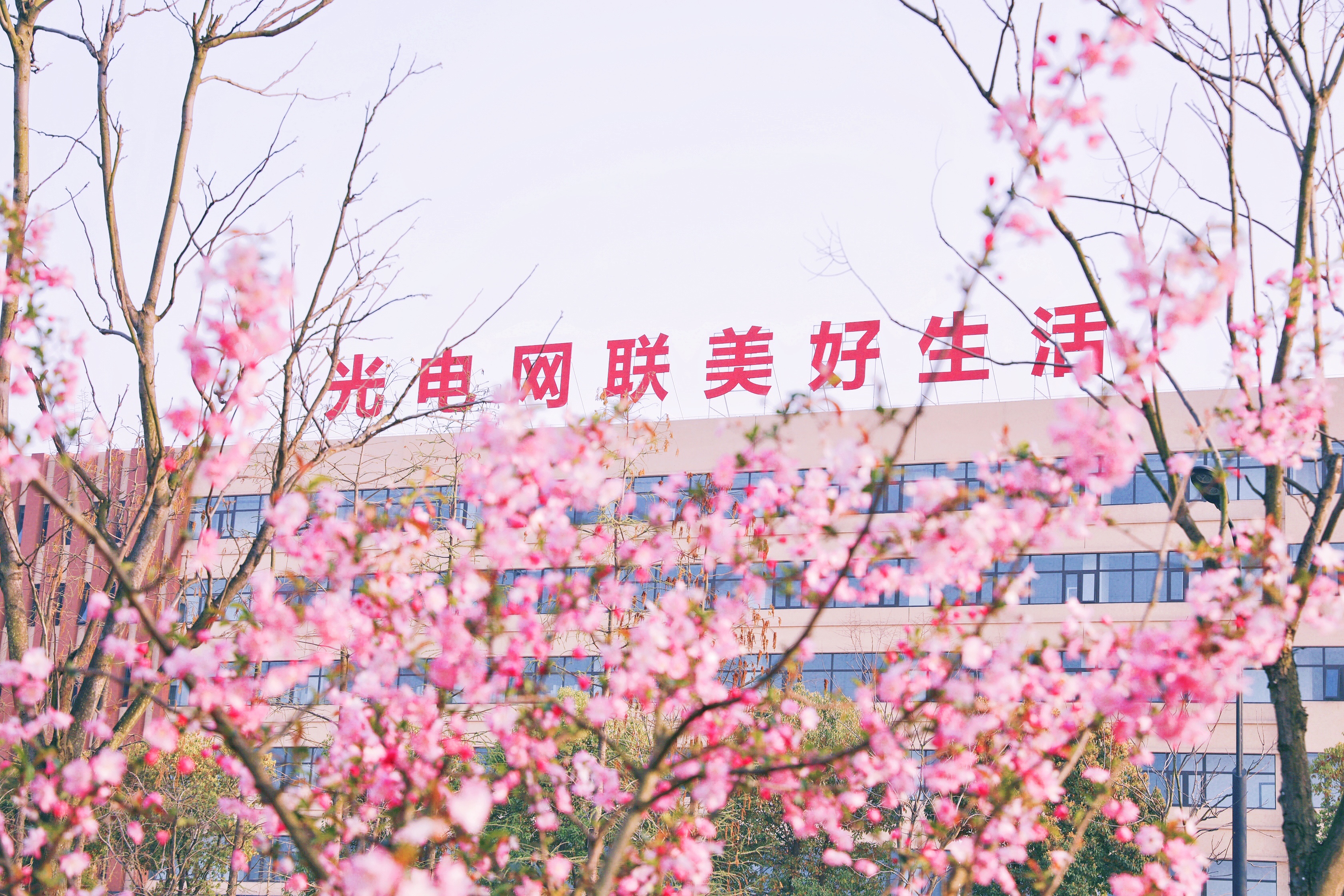 ���Ź��ʹ���-�����ɼ��Ƿ�,����Ʒ�Ƶ�ʵ��