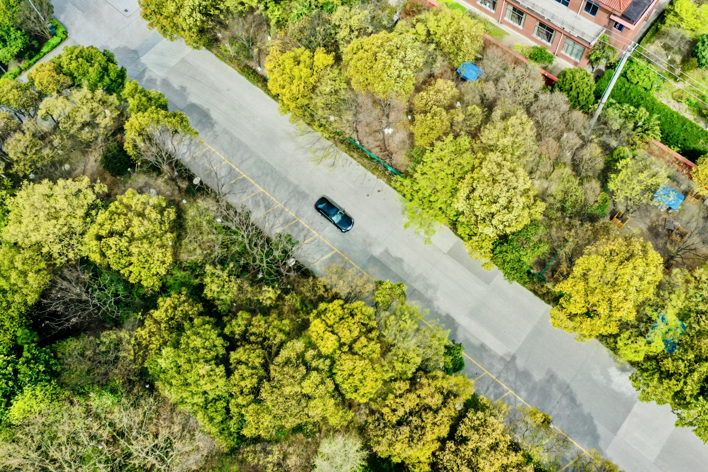 ���Ź��ʹ���-�����ɼ��Ƿ�,����Ʒ�Ƶ�ʵ��