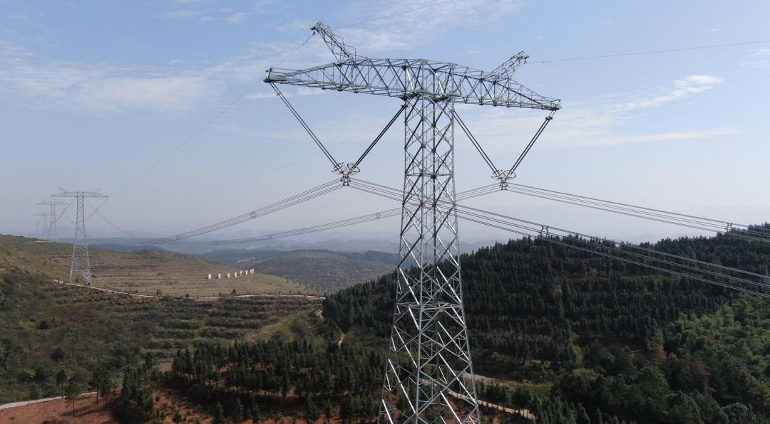 ���Ź��ʹ���-�����ɼ��Ƿ�,����Ʒ�Ƶ�ʵ��