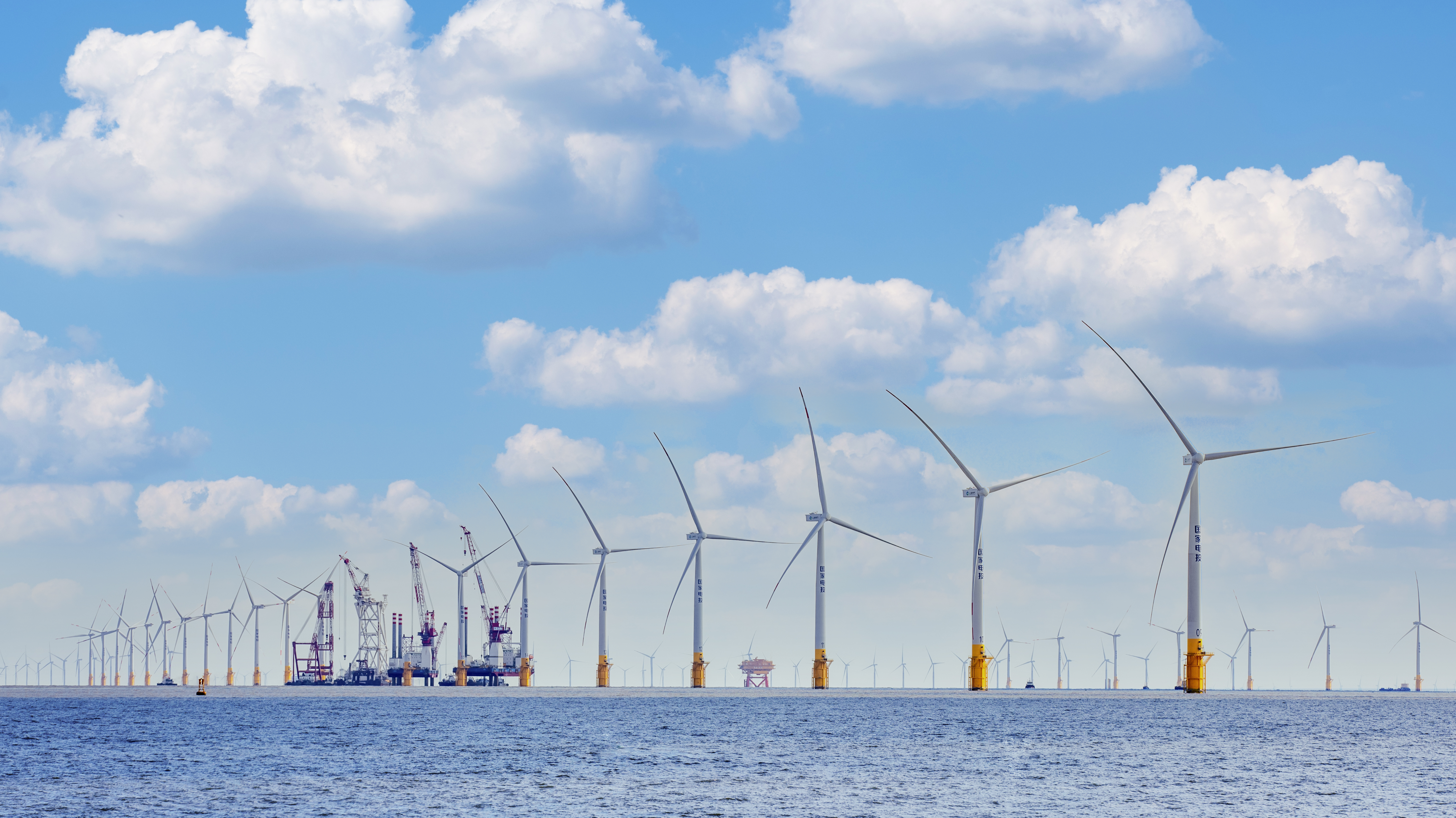 ���Ź��ʹ���-�����ɼ��Ƿ�,����Ʒ�Ƶ�ʵ��